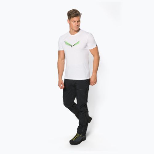 Pánské trekové tričko Salewa Lines Graphic Dry white 00-0000028065