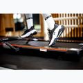 Běžecký pás elektrický  XTREXO Walking Pad W150 černý 9
